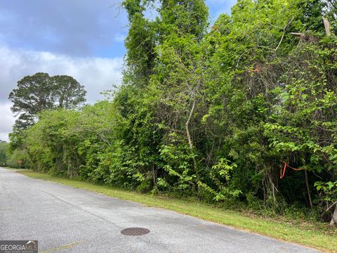 Photo of 204 W Meeting St. St, St. Marys, GA 31558 (MLS # 10730774)