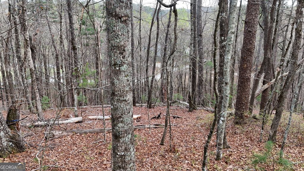 Photo of 8 Settlement Lane, Tiger, GA 30576 (MLS # 10725448)