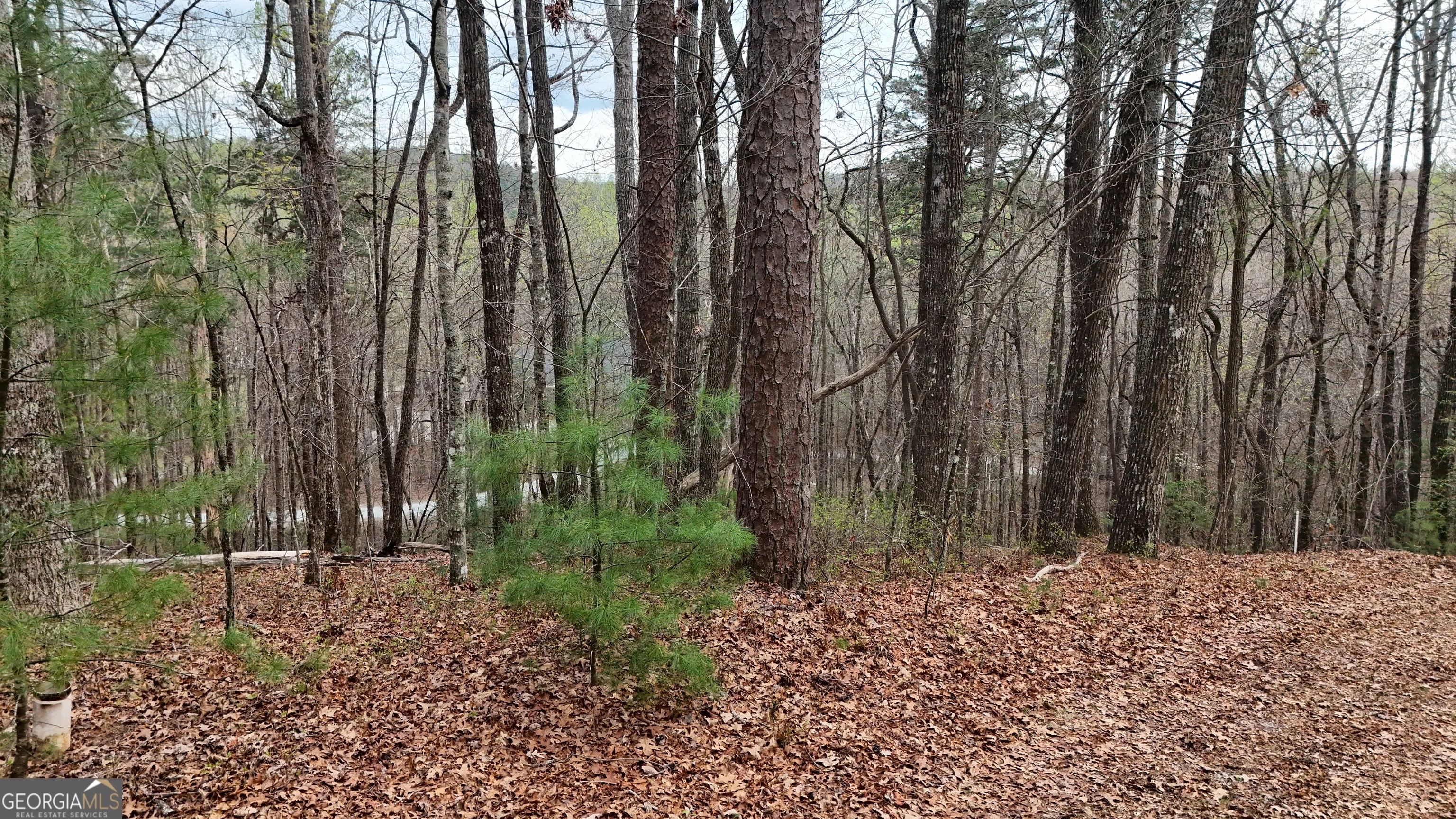 LOT 8 Settlement Lane, Tiger, GA, 30576