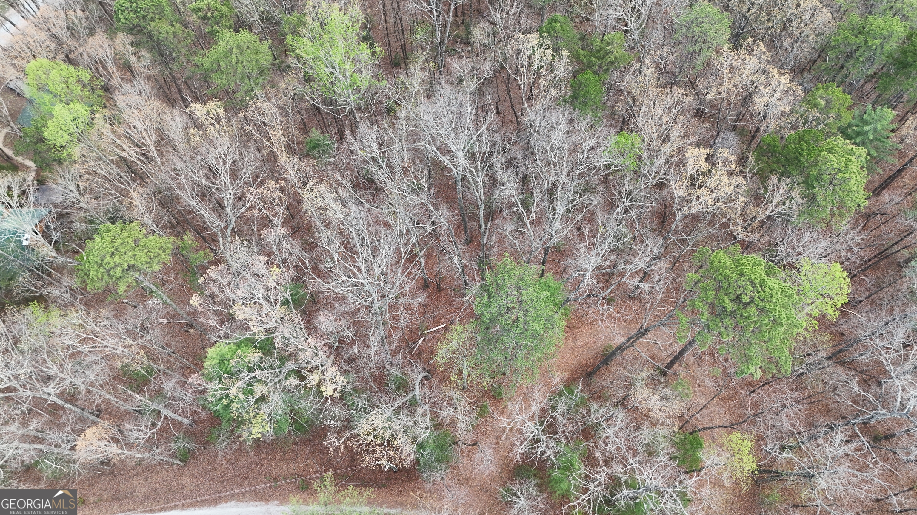 LOT 8 Settlement Lane