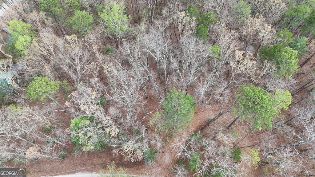 Photo of 8 Settlement Lane, Tiger, GA 30576 (MLS # 10725448)