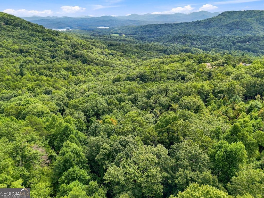 Photo of 27 Deer Crest Road #27, Blue Ridge, GA 30513 (MLS # 10824372)
