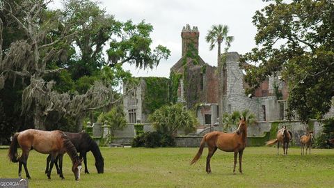 A home in St. Marys