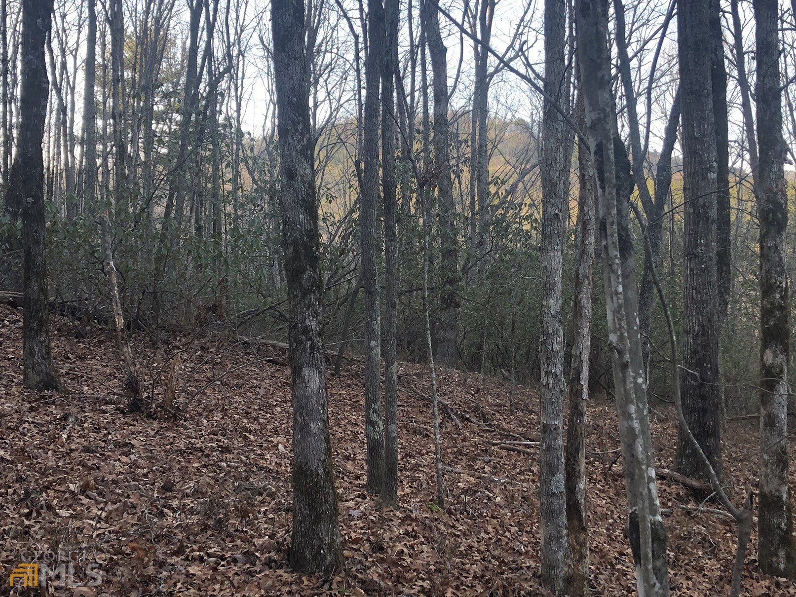 The Orchard - Land