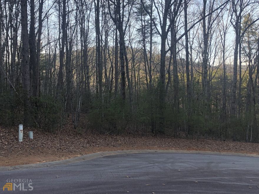 Beautiful wooded lot in the gated community, The Orchard! Sunset and seasonal views. With some clearing a wide open mountain view across back line. Gentle slope. Easy build for basement. Cul-de-sac lot. Very private!