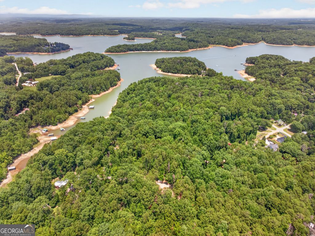 Photo of 139 Fairlane Dr, Martin, GA 30557 (MLS # 10802482)