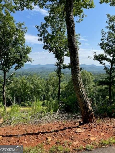 2 Lots, 116 & 117, Crown Point in Highland Park. 2.77 acres. Amazing long-range views. Perfect homesite right where the 2 lots meet. The land is gently rolling and has a private drive to the 2 lots already in place. Water, power, internet are all in place. The community has a wonderful clubhouse with fitness center, saltwater infinity pool, game room and movie theater. The location is excellent with immediate access to Lake Nottely at the community marina, 4 miles from the town of Blairsville and 15 minutes of many area attractions. Check out these exclusive lots at Crown Point.