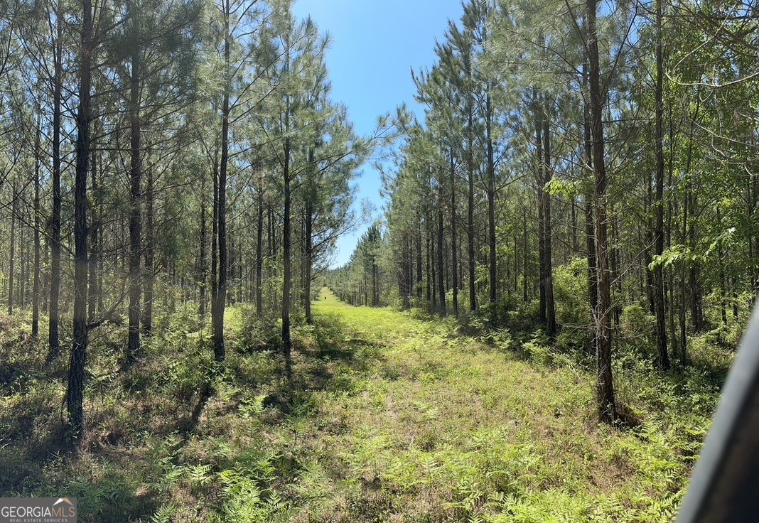 0 Jim Pruett RD