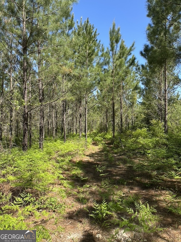 0 Jim Pruett RD