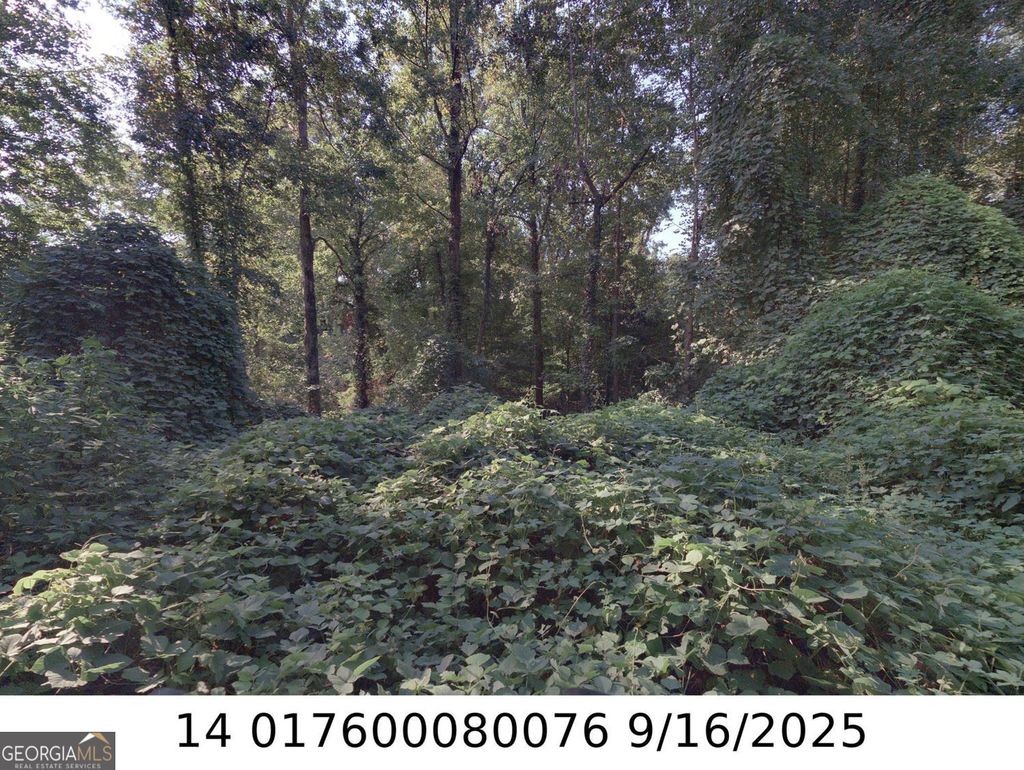 Photo of 00 Newman Place NW, Atlanta, GA 30318 (MLS # 10809246)
