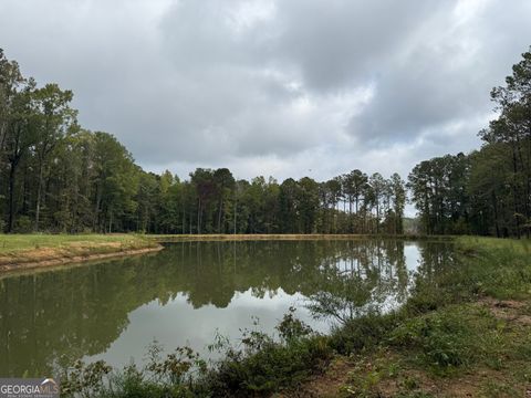 585 Deer TRL Box Springs GA 31801