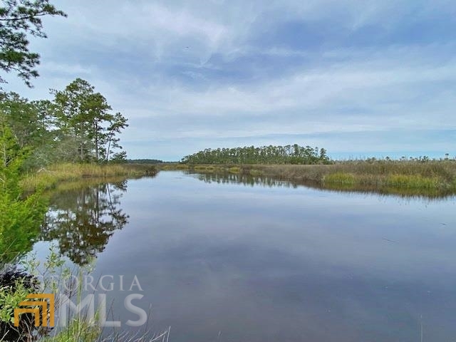 ****SIGNIFICANT PRICE REDUCTION***** FABULOUS WATERFRONT and plenty of it with generous frontage, combined with choice circumstances on this 2.6+/- acre tract in a private and protected development in Waverly, GA (Camden County, on the GA coast). The robust deep water tidal flow which the property fronts - Gowrie Creek - feeds the Little Satilla River which flows into the Jekyll Sound and Intercoastal Waterway and Atlantic Ocean. You can boat all the way down to the Ocean from this property. Dock permits are issued through the Georgia Department of Natural Resources. And the water on this tract is easily accessible. It's not across the marsh or down through the bushes and you don't have to build a walkway to get there, instead you'll be able to walk or drive right to the water's edge. The views across the water are what you would call "long range", up and down the water's flow with quiet marsh directly across and in the far distances the tree lines and with no one else in sight. You'll have the option of siting your home to take advantage of all the waterfront views and in total privacy destined to stay that way. Or construct a showplace open to the street. The parcel is located at the end of a paved cul-de-sac and is nicely wooded with palms and live oaks bearded with rustic Spanish moss and sprinkled with a few tall pines and eastern red cedars. Utilities at the property are ready to tap into and include power, water, and sewer, AT&T fiber is in the area. The Community - Tuscan Landing - is gated, protected, and attractive with nicely paved roads and the grounds are immaculate and well-maintained. The private amenities you'll enjoy include a boat launch with a burly overhead crane and a dock and a landing plus a convenience pavilion alongside including restrooms. A sports field, playground, and picnic area add to the activity possibilities. You're fewer than 10 minutes from Interstate I-95 which will take you all up and down the East Coast, Brunswick is about 20 minutes away and a milk run less than half that. Jekyll and St. Simon's Islands are but a short commute and hop over the Intercoastal. This is not just the best waterfront lot in the Community but the sheer scenic appeal plus amenities make it one of the finest in the area.