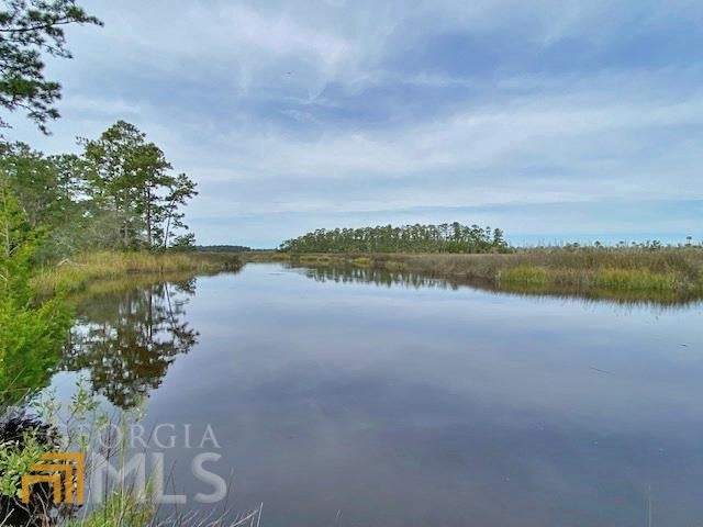 Photo of 0 La Sole Lane #84, Waverly, GA 31565 (MLS # 20079197)
