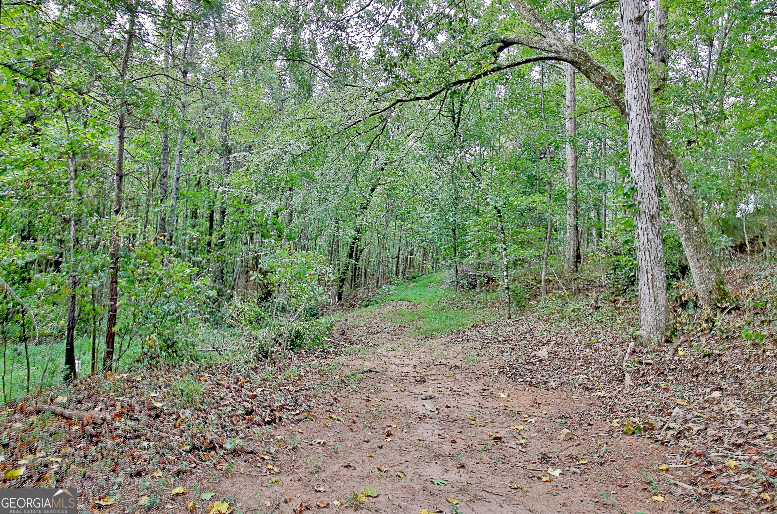 Cumberland - Residential