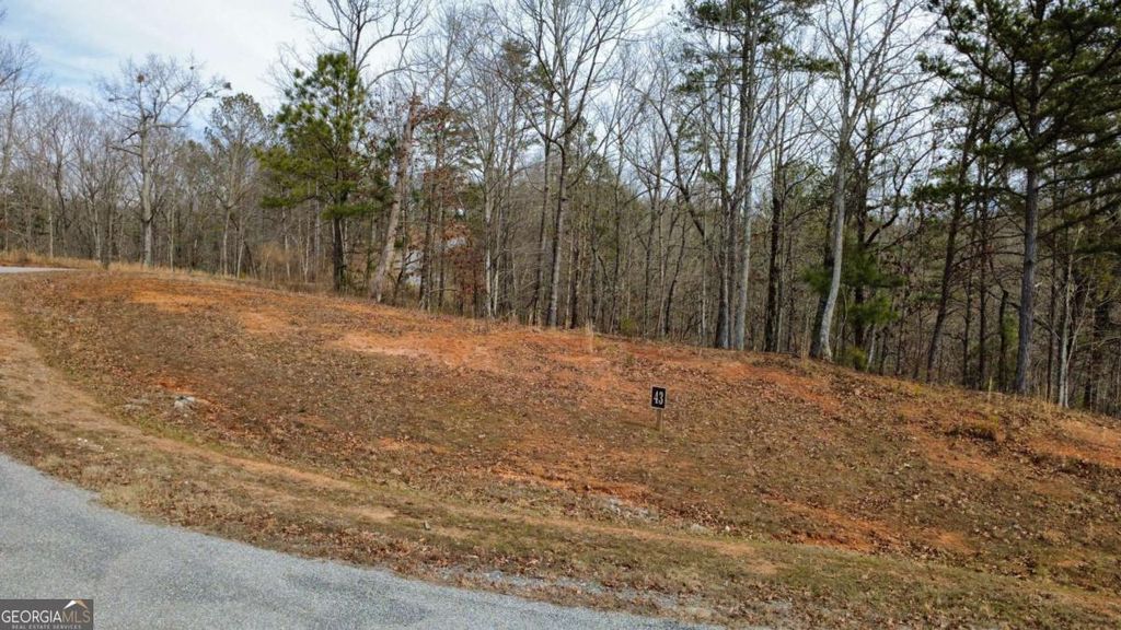 Photo of 43 Bucktail Way, Talking Rock, GA 30175 (MLS # 10722546)