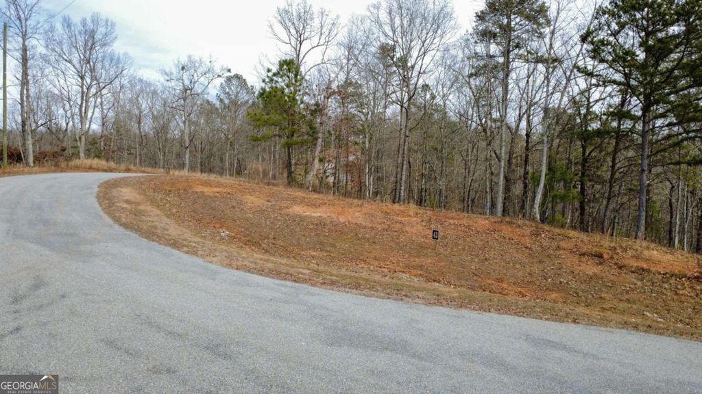 Photo of 43 Bucktail Way, Talking Rock, GA 30175 (MLS # 10722546)