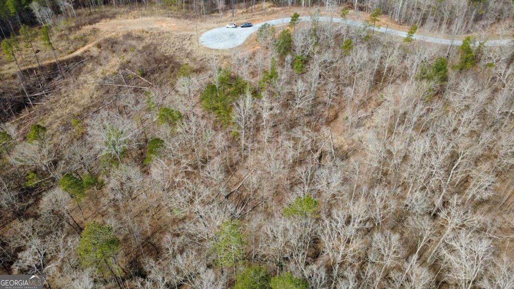 Photo of 43 Bucktail Way, Talking Rock, GA 30175 (MLS # 10722546)