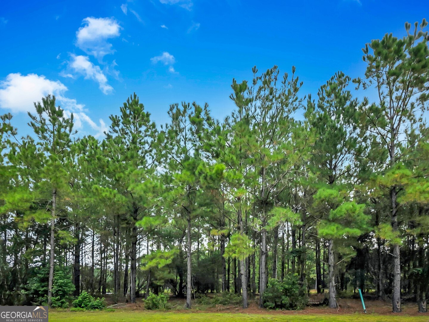 Uncover the Potential of Coastal Georgia Living! Welcome to Lot 301 in Bridge Pointe Exclusive Gated community, a hidden gem nestled in the heart of Waverly, GA. This Beautiful 0.28-acre homesite offers a rare opportunity to build your dream retreat in a quiet subdivision surrounded by nature and tranquility with a lake view. You'll enjoy unmatched privacy and the freedom to shape your vision from the ground up. Whether you're looking to invest, build, or escape the hustle, this lot is priced to sell! The community just approved construction for the 1st model home which should be starting construction in October! There will be some awesome amenities such as a pickle ball courts, a pool, clubhouse and more in the near future. Get in this fabulous community on the ground floor and capitalize later. Enjoy easy access to I-95, coastal waterways, and the charm of nearby towns like Brunswick and St. Simons Island. This deal won't last long.