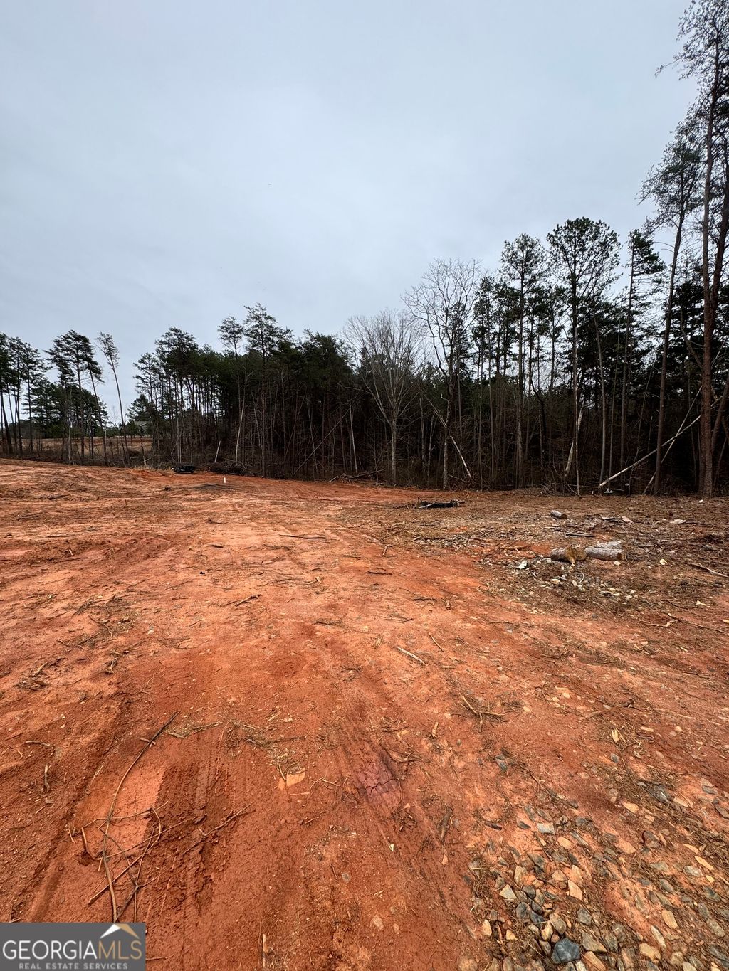 Photo of 0 Scott Road, Eastanollee, GA 30538 (MLS # 10702484)