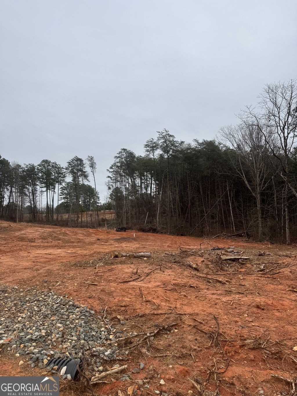 Photo of 0 Scott Road, Eastanollee, GA 30538 (MLS # 10702484)