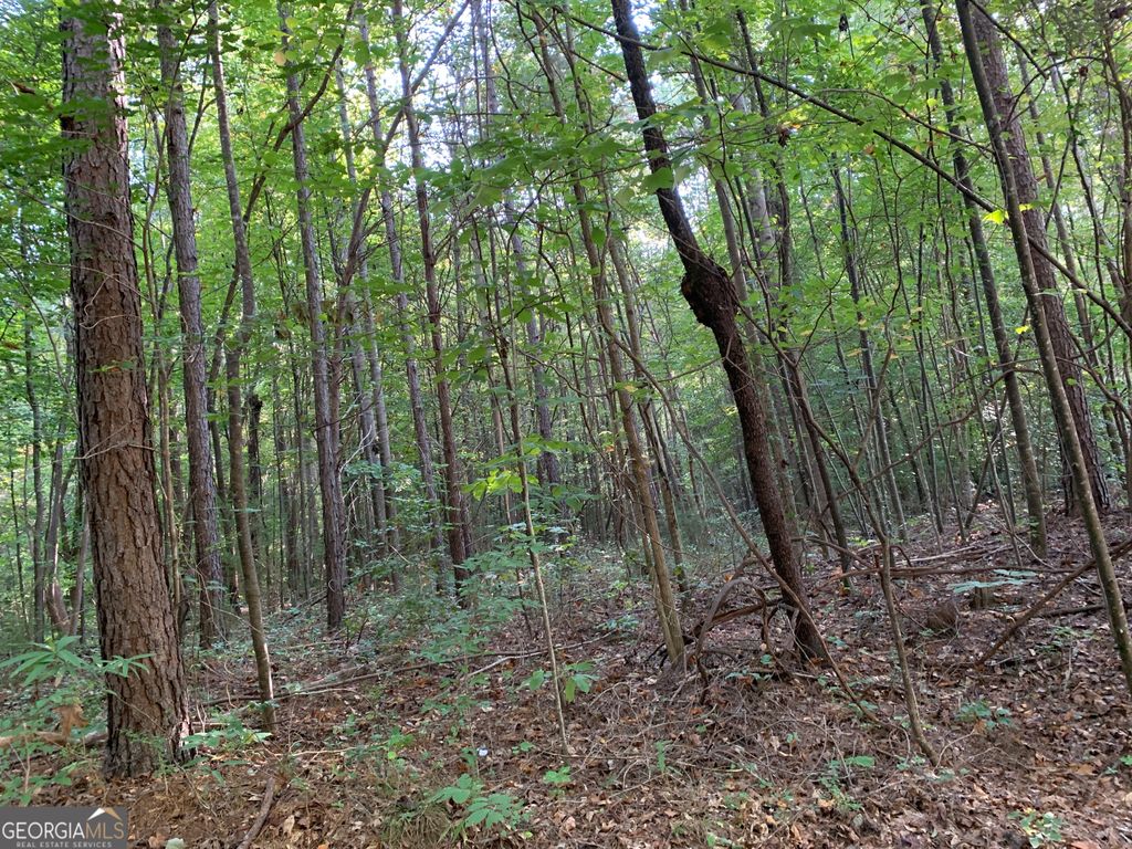 Photo of 510 Hwy 123, Toccoa, GA 30577 (MLS # 10663310)
