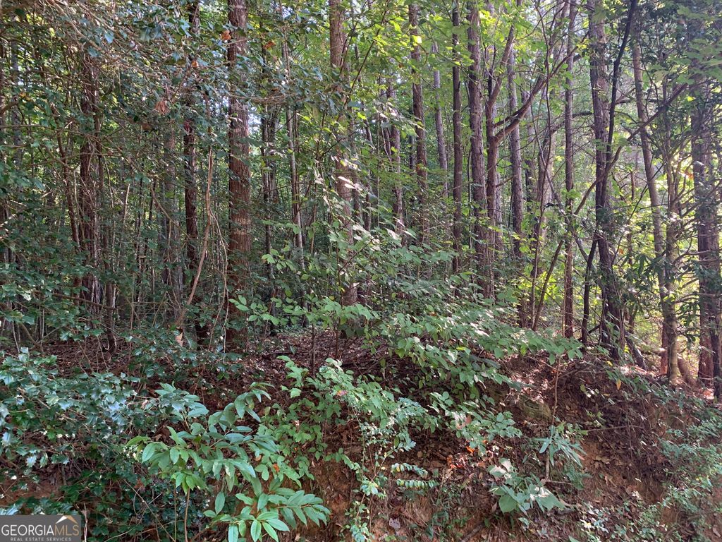 Photo of 510 Hwy 123, Toccoa, GA 30577 (MLS # 10663310)