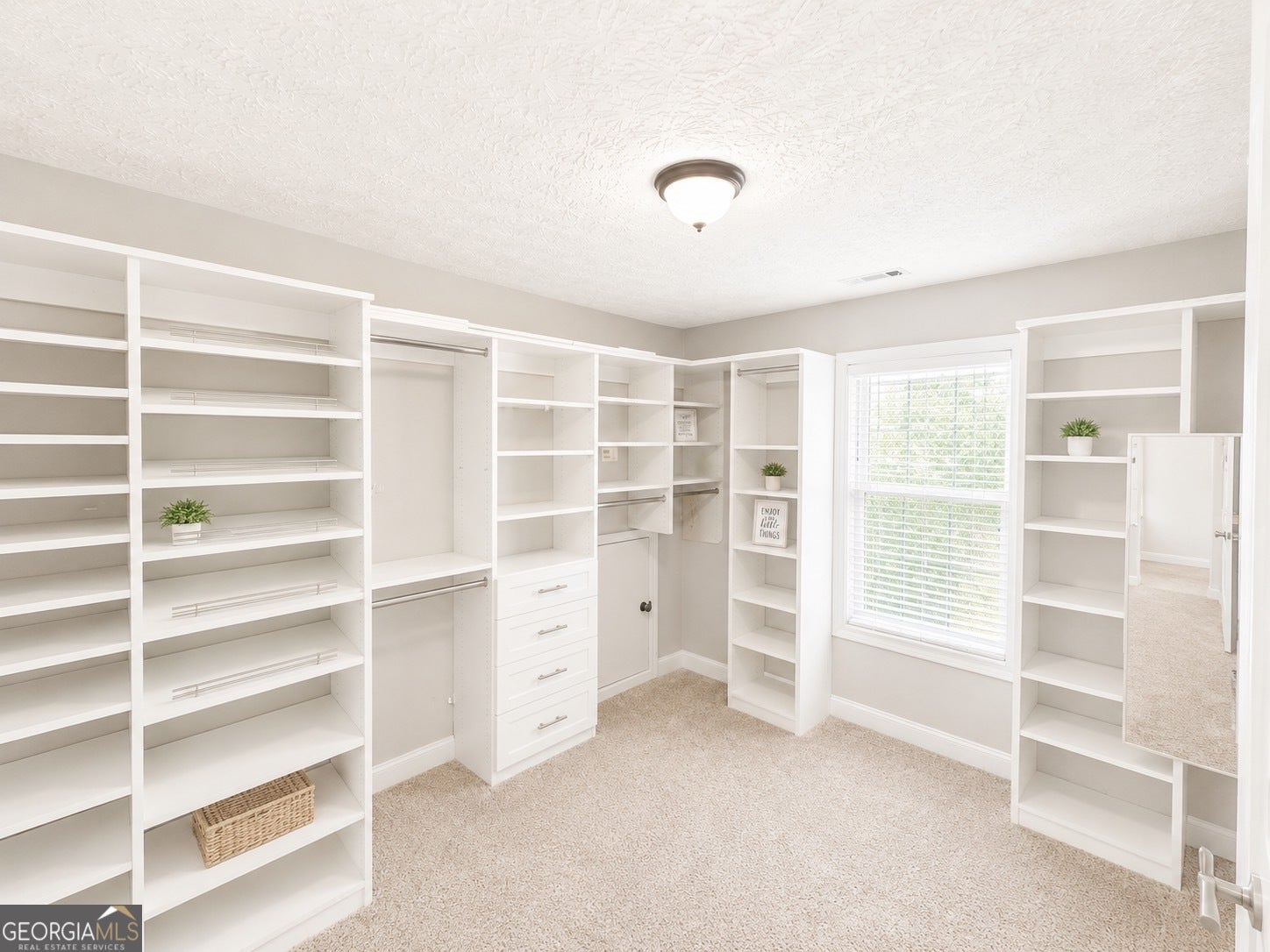 917 Ivy Brook CT