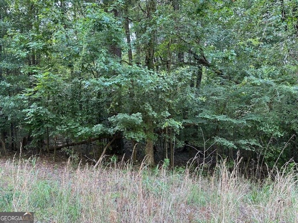 Photo of 233 Riverbend Trail, Macon, GA 31211 (MLS # 10730914)