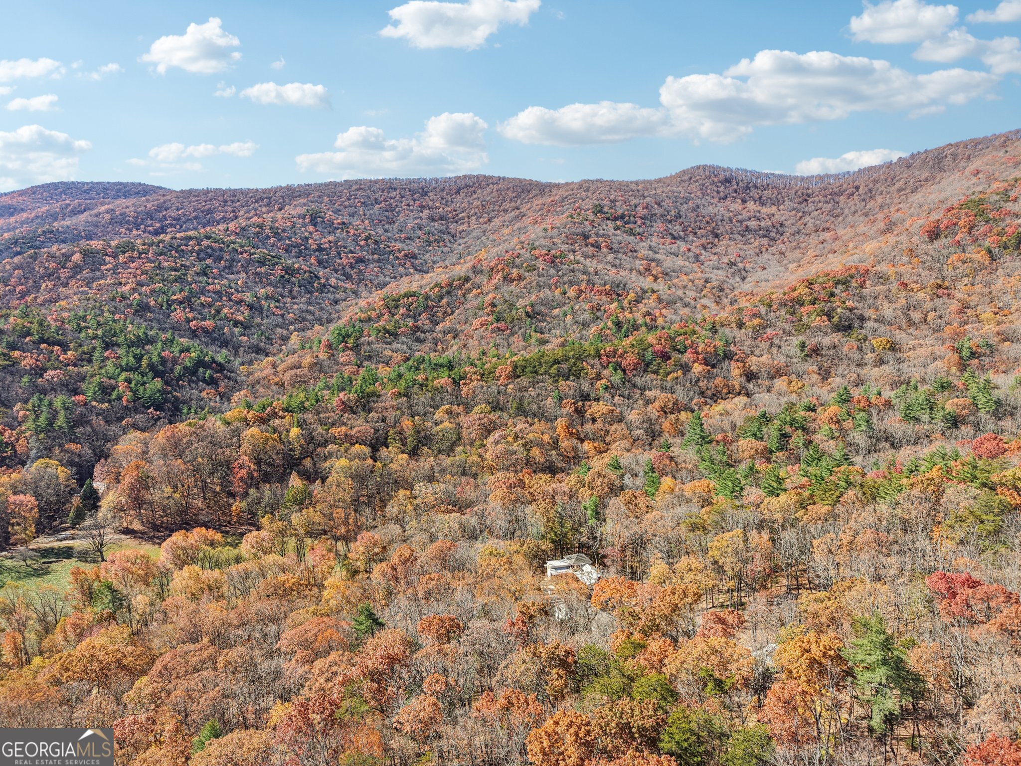 105 Thurmond Walker RD