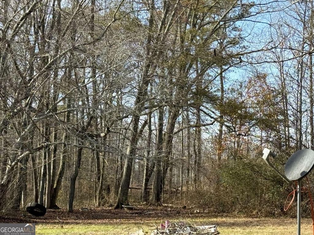 Photo of 305 Brand Road SW, Loganville, GA 30052 (MLS # 10659447)