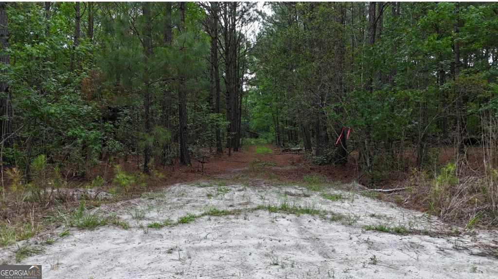 Photo of 0 Duck Pond Road, sylvania, GA 30467 (MLS # 10771568)