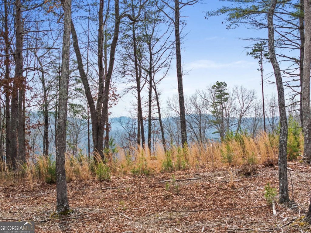 Photo of 162 Ridge Drive, Morganton, GA 30560 (MLS # 10827614)