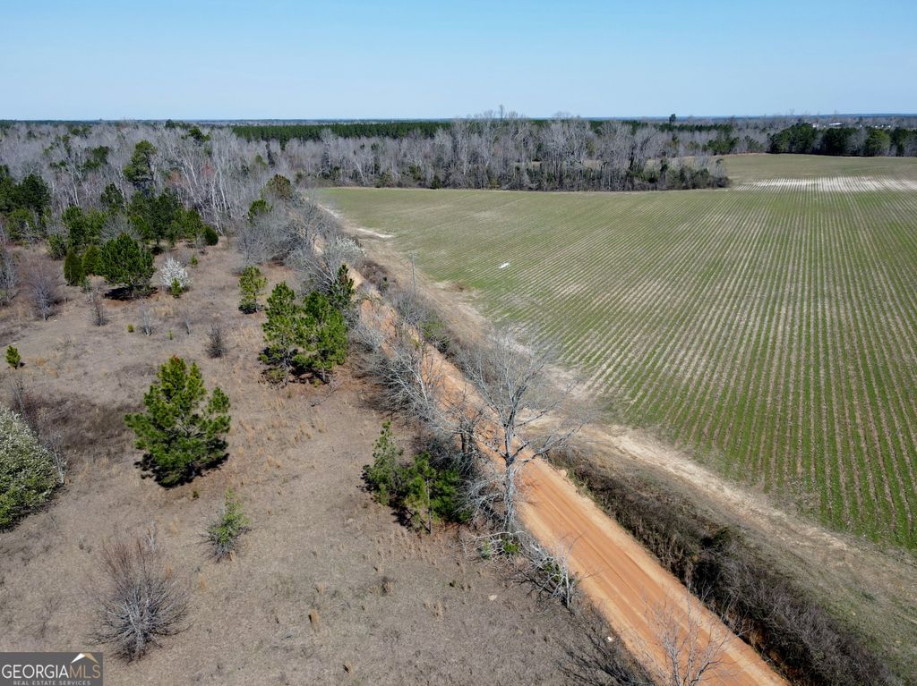 Photo of 0 Bill Glenn Road, Swainsboro, GA 30401 (MLS # 10701445)