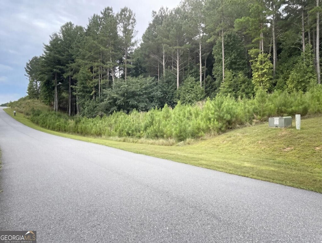 Photo of 157 The Stables at Thirteen Hundred No Street Suffi, Blairsville, GA 30512 (MLS # 10854197)
