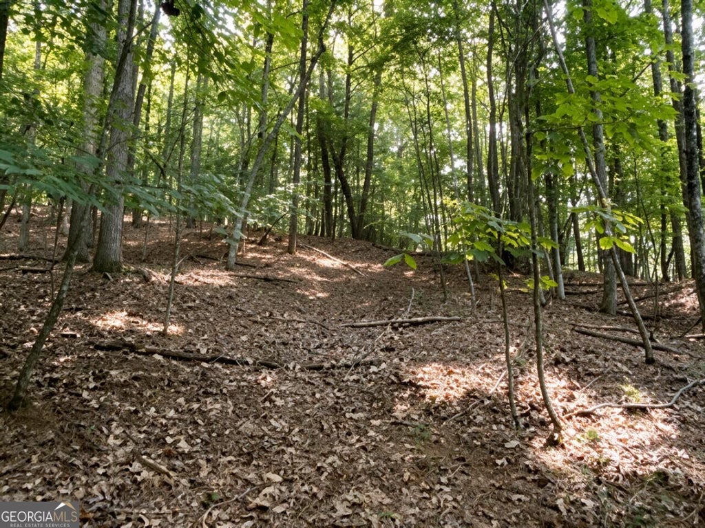 Photo of 157 The Stables at Thirteen Hundred No Street Suffi, Blairsville, GA 30512 (MLS # 10854197)