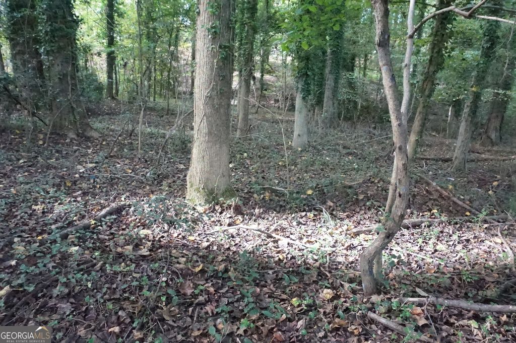 Photo of 6 Pine Valley Drive, Royston, GA 30662 (MLS # 10697461)