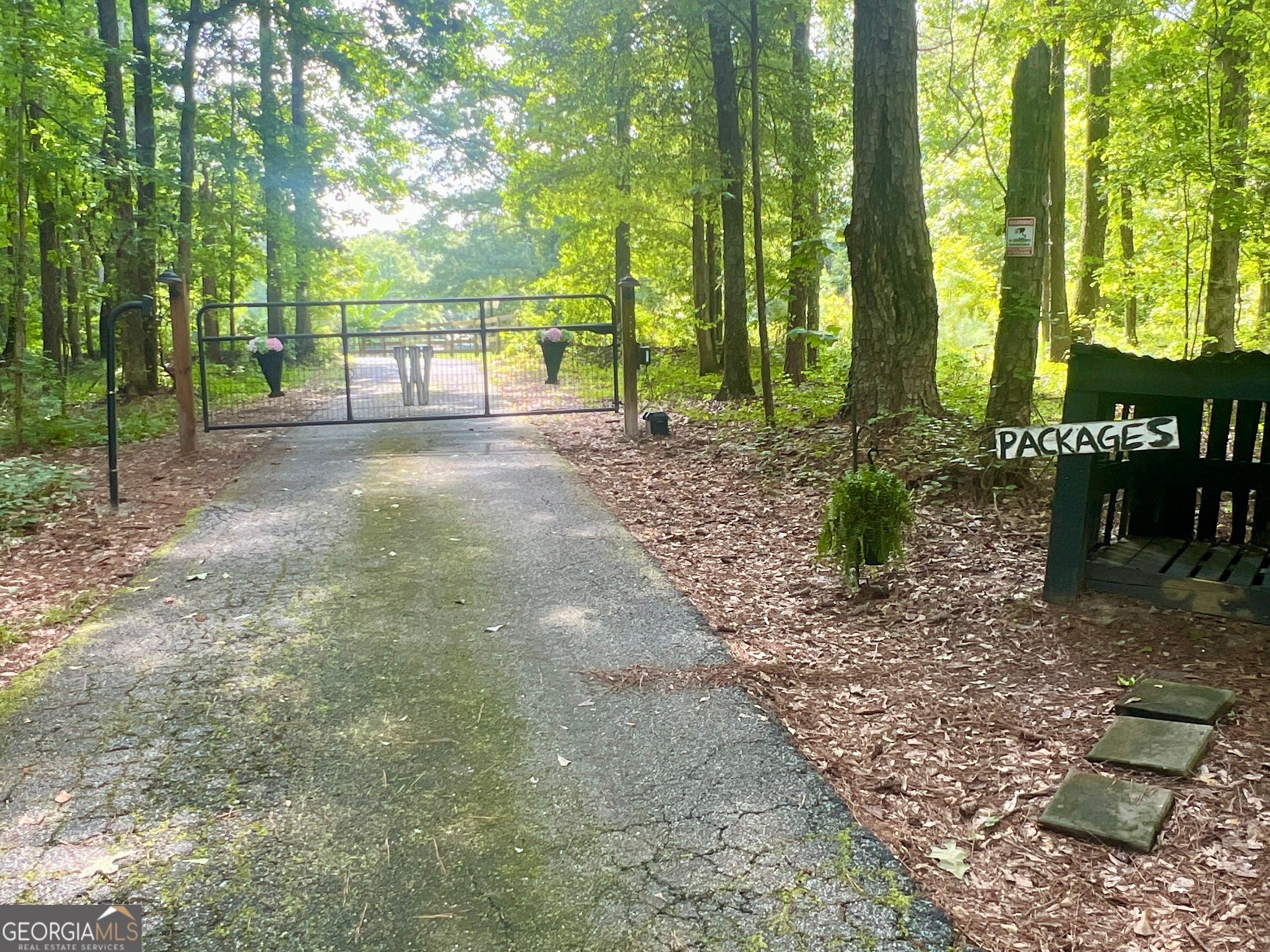 385 Minix RD