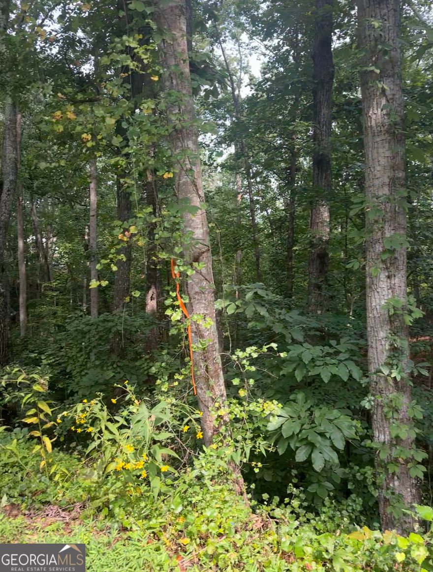 Build your dream home on this beautiful and wooded lot located in an established subdivision.