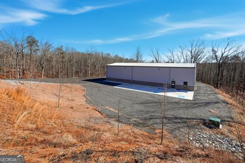 610 Hogan Pond Ball Ground GA 30107