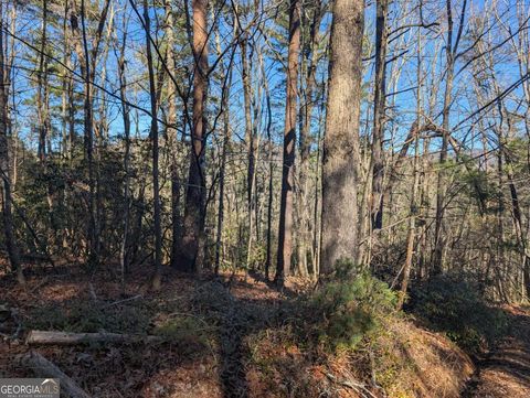 LOT J251 Pine Ridge CT Ellijay GA 30536
