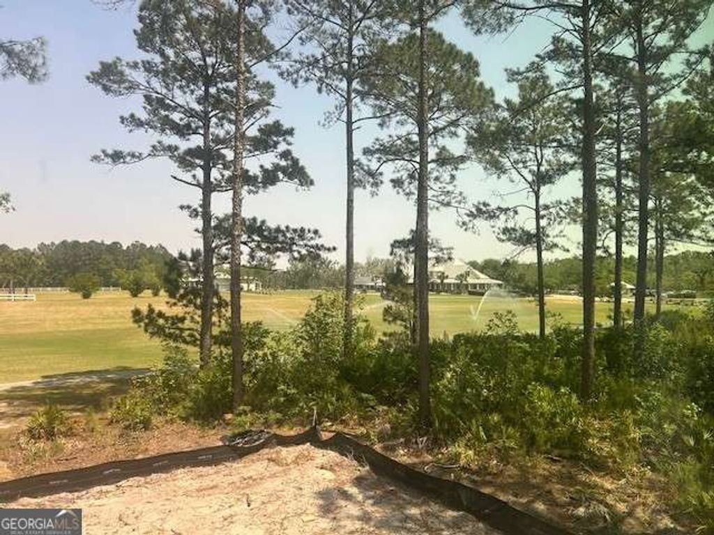 Photo of 105 Lone Pine Court, Waverly, GA 31565 (MLS # 10738890)