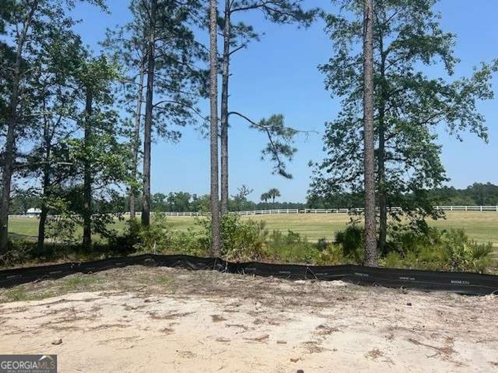 Photo of 105 Lone Pine Court, Waverly, GA 31565 (MLS # 10738890)