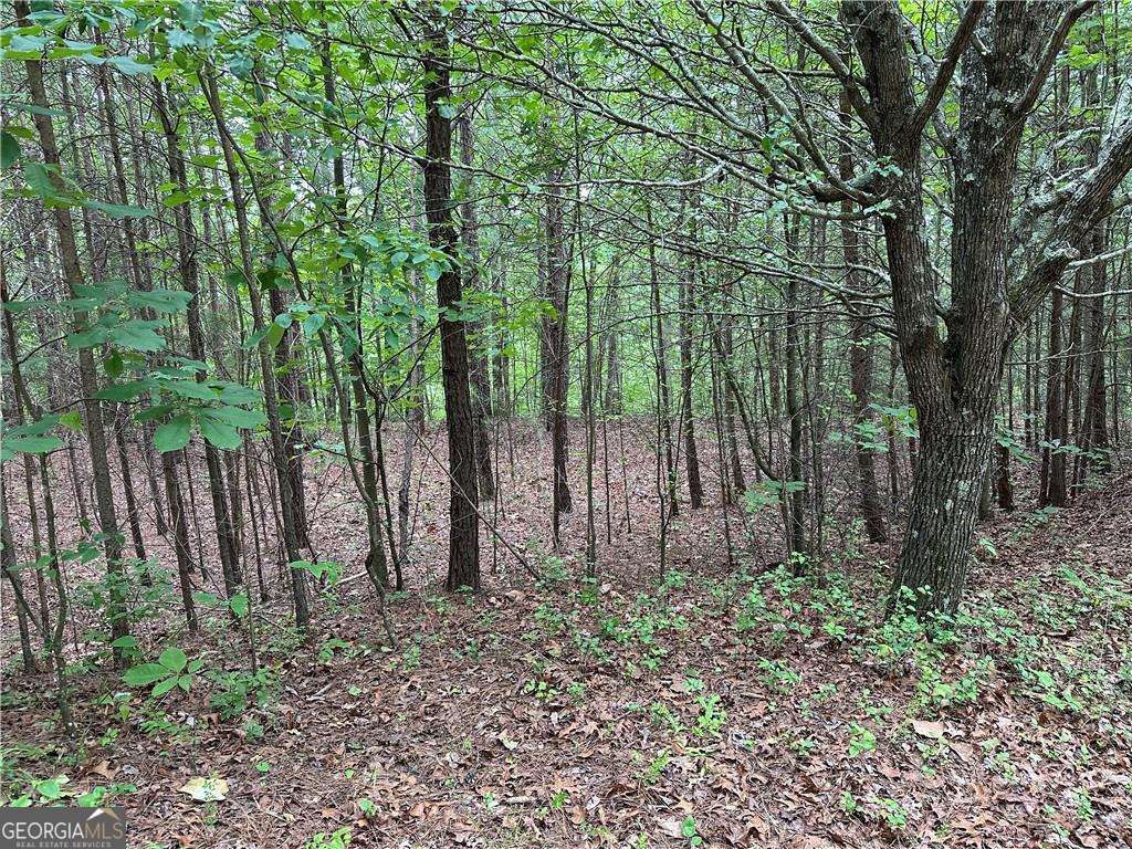 Photo of 585 Galaxy Way, Ranger, GA 30734 (MLS # 10768659)