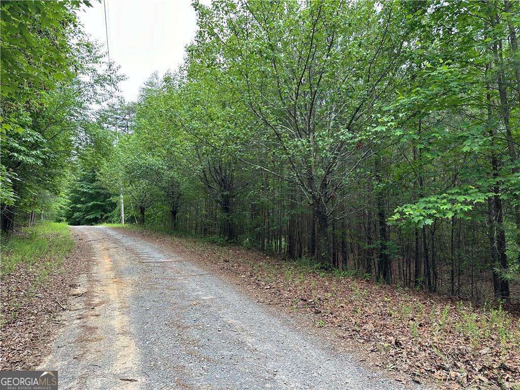 Photo of 585 Galaxy Way, Ranger, GA 30734 (MLS # 10768659)