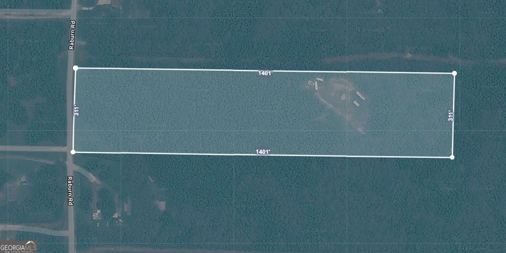 Photo of 535 N Raburn Road, Bremen, GA 30110 (MLS # 10738930)