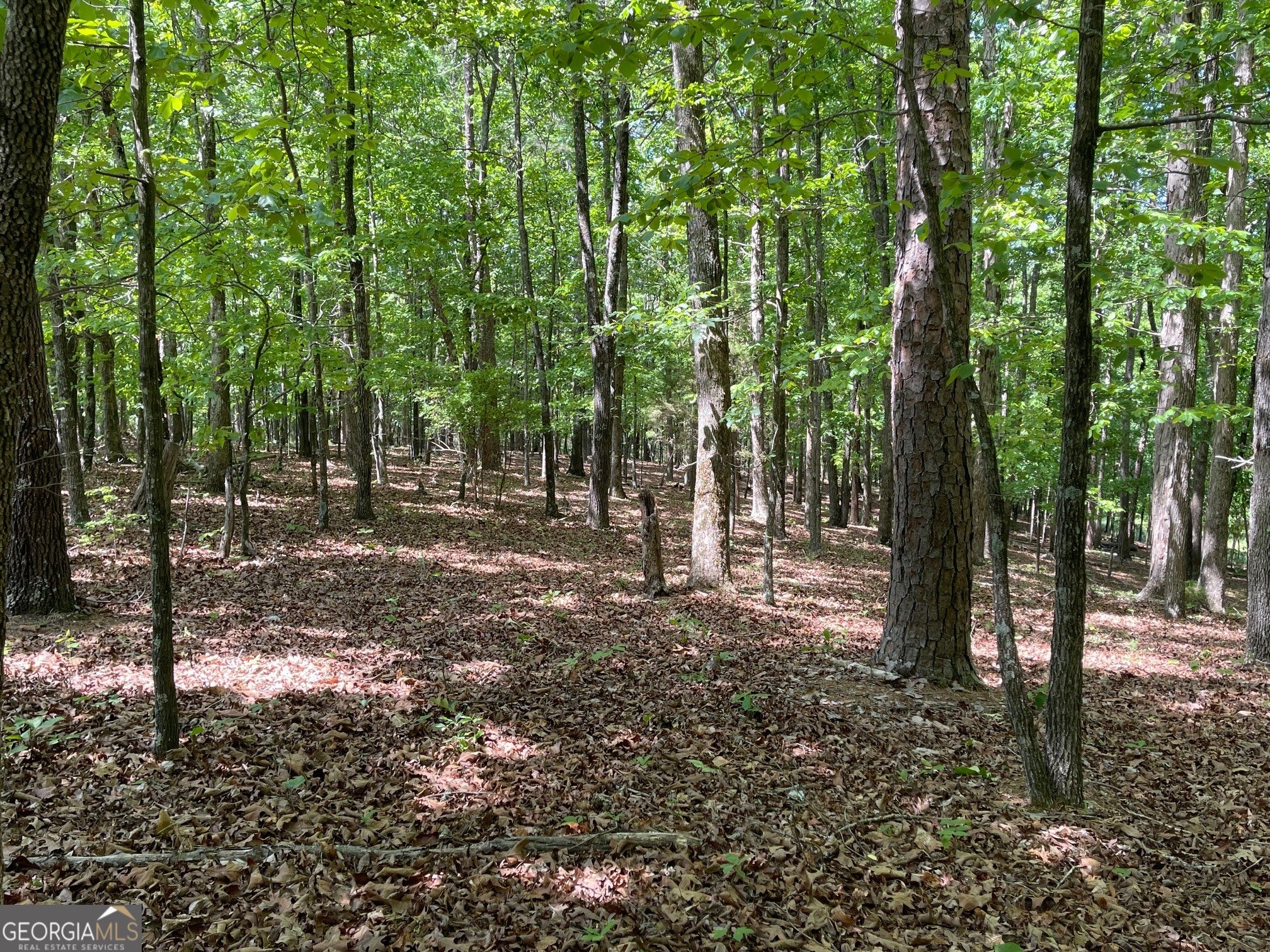 TRACT 1A CHALCREST WAY