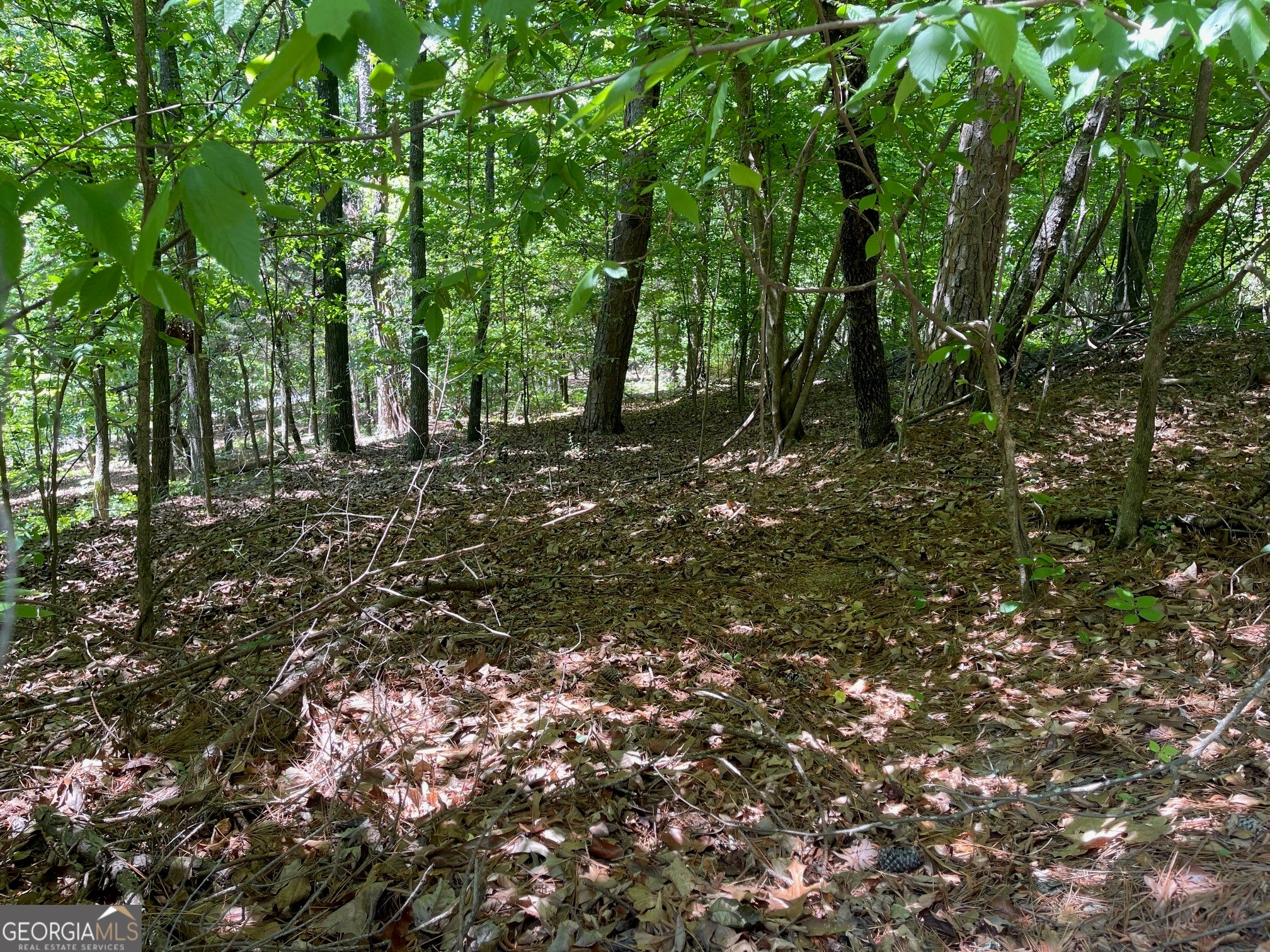 TRACT 1A CHALCREST WAY