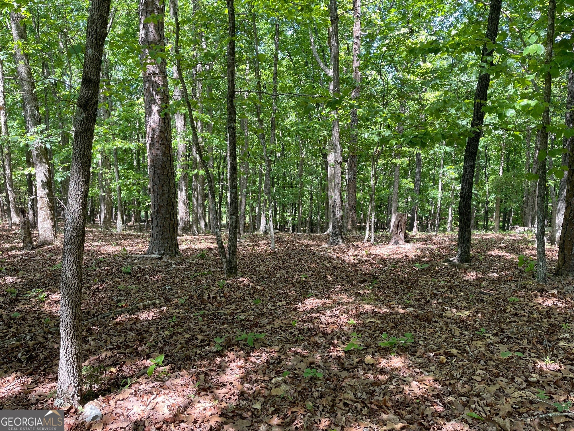 TRACT 1A CHALCREST WAY