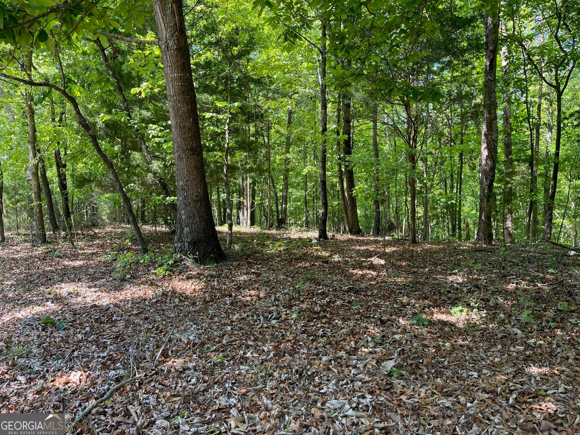 TRACT 1A CHALCREST WAY
