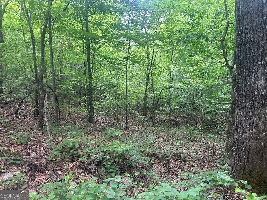 236 RiverSong (TRACT 8)
